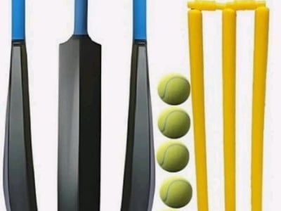 Plastic Cricket Bat and Wicket Set Plastic Cricket Bat and Wicket Set