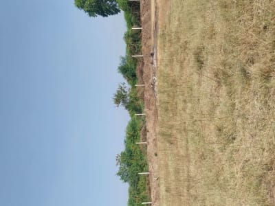 9 Vigha Agricultural Land with Water and Fencing 9 Vigha Agricultural Land with Water and Fencing
