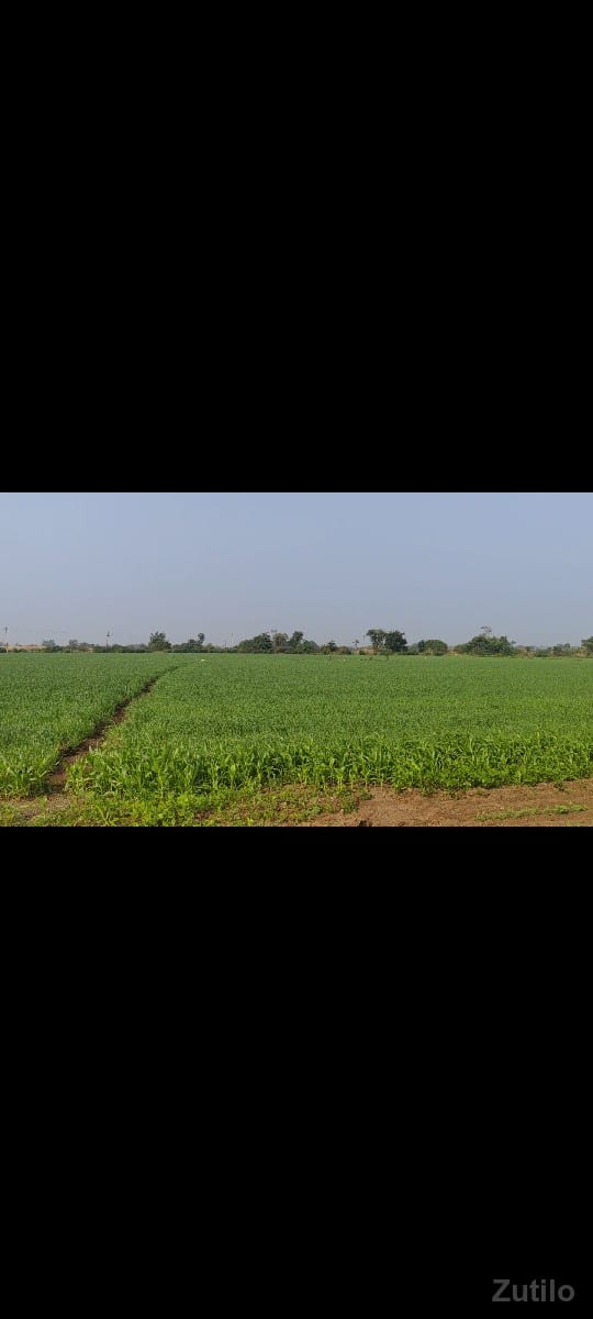 ખેતીની જમીન વેચવાની છે - Land & Plots - Gandhinagar City - Image 2
