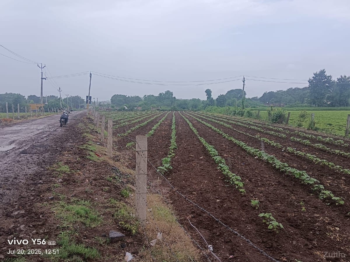 1એકર જમીન રોડ ટચ - Land & Plots - Vadodara City - Image 2