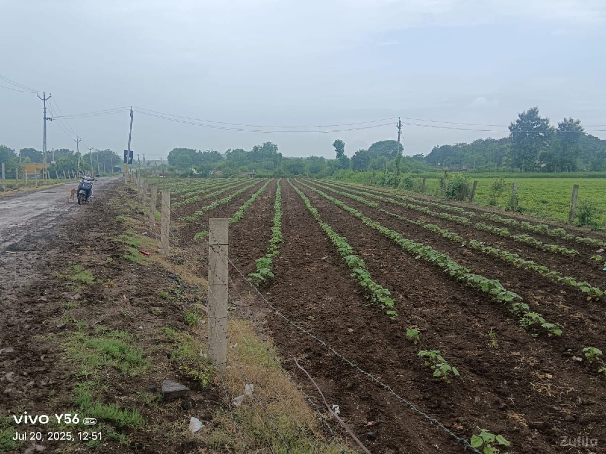 1એકર જમીન રોડ ટચ - Land & Plots - Vadodara City - Image 3