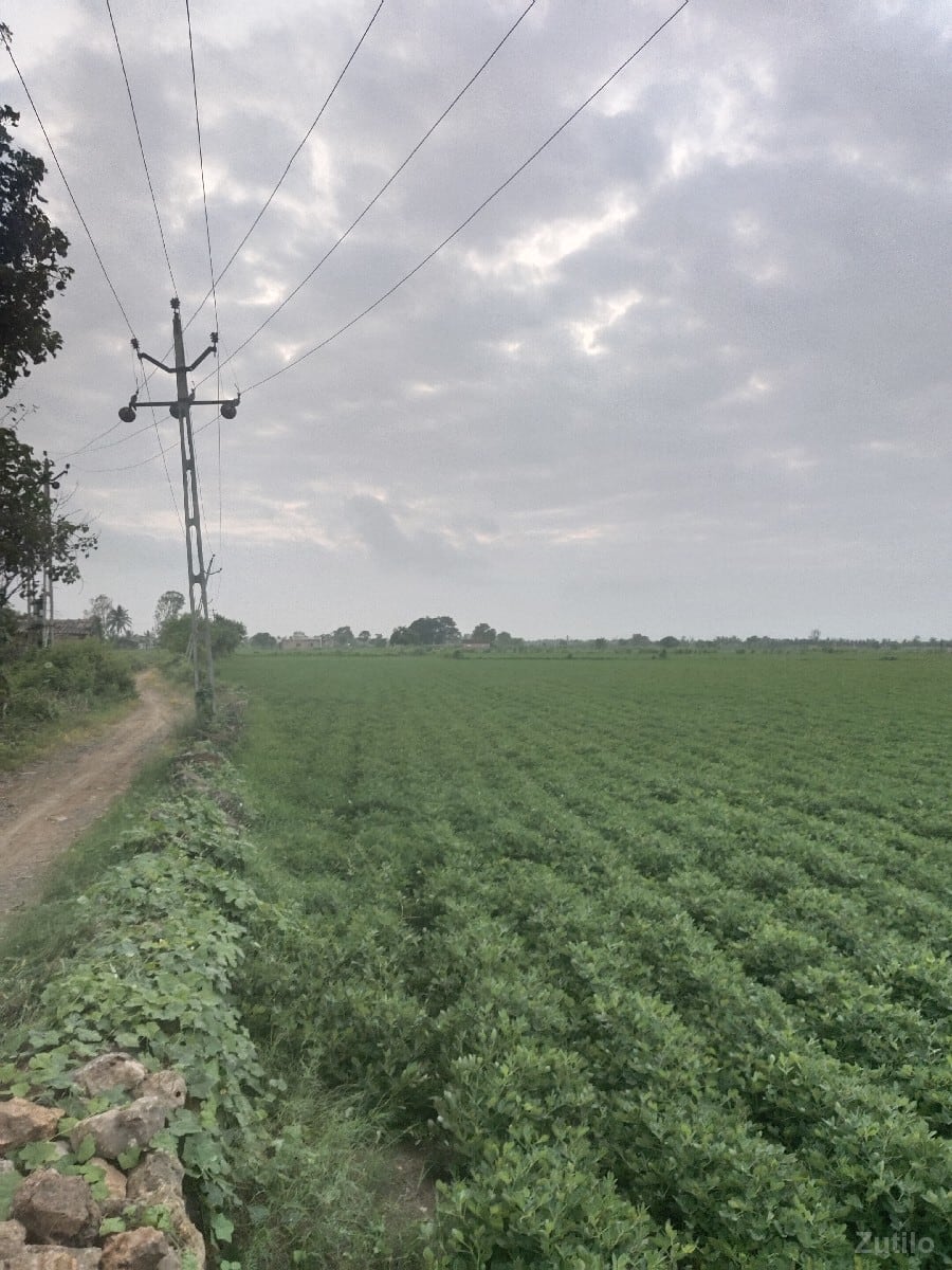 આ જમીન વેચવાની છે - Land & Plots - Surat City - Image 2