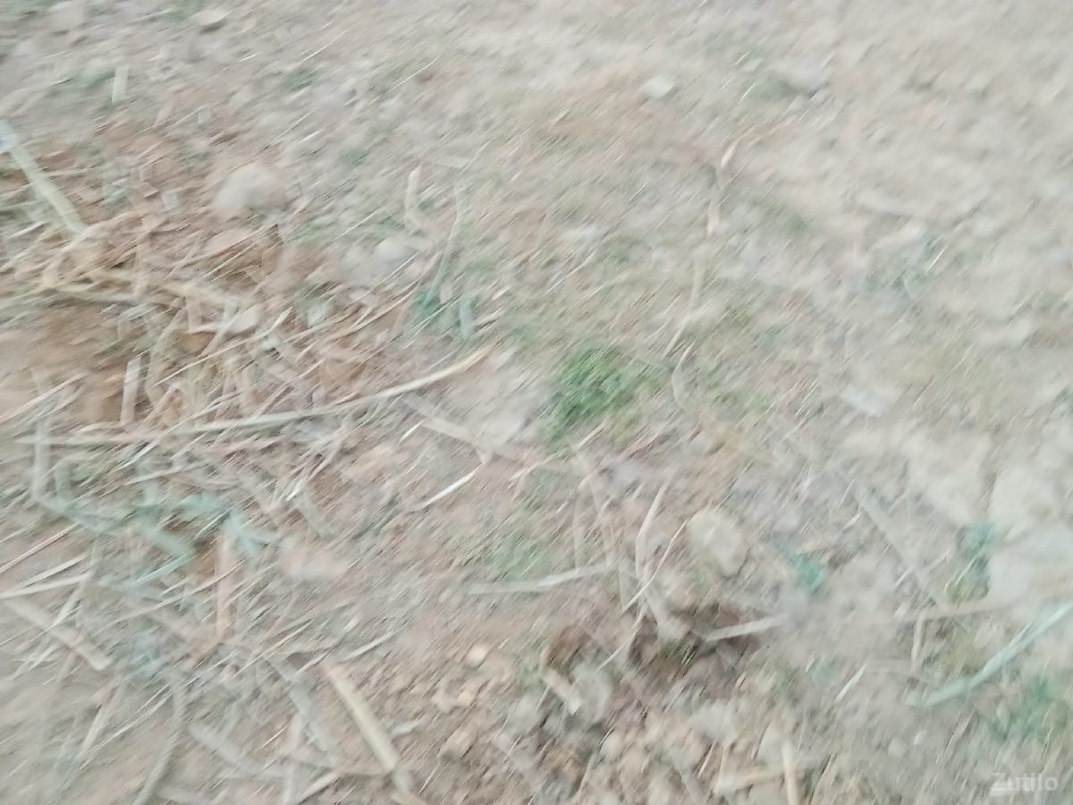 જમીન વેચવાની છે