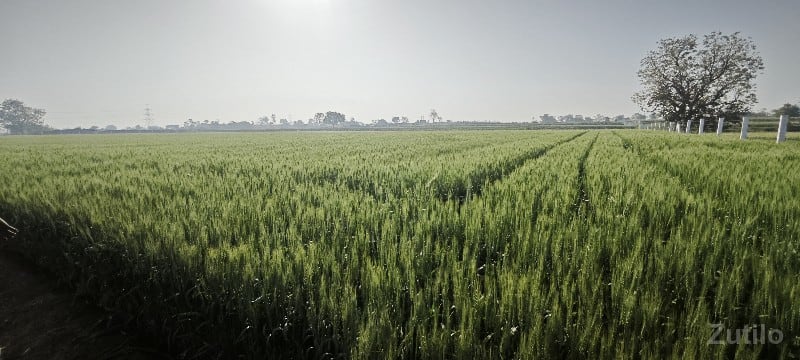 જમીન વેચવાની છે જમીન વેચવાની છે