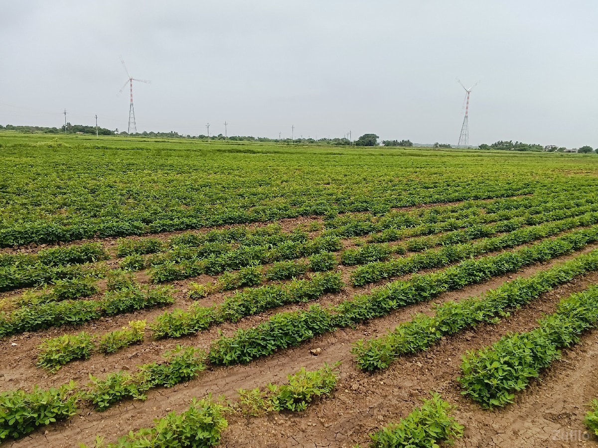 khety ni jamin 15 vigha - Land & Plots - Rajpipla - Image 2
