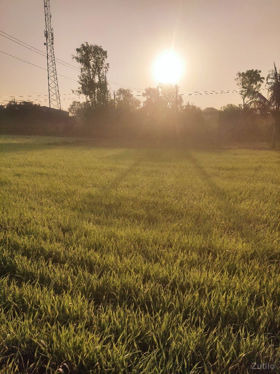 લાઠોદરા ગામ જમીન વેચવાની છે - Land & Plots - Vyara - Image 3