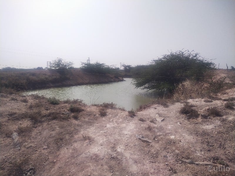 22 vigha jamin vechva ni chhe - Land & Plots - Songadh - Image 2