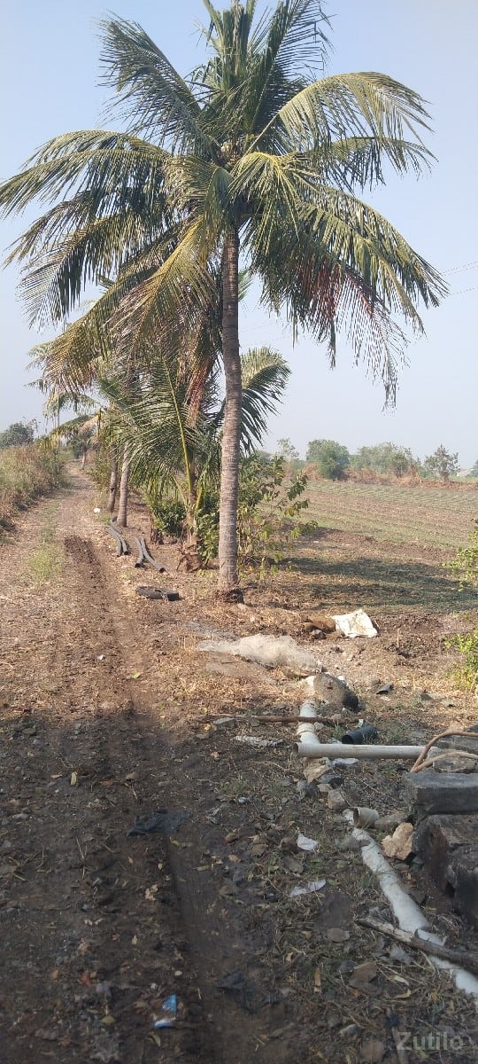 30 વિઘા  જમીન વેચવાની છે - Land & Plots - Pipavav - Image 3