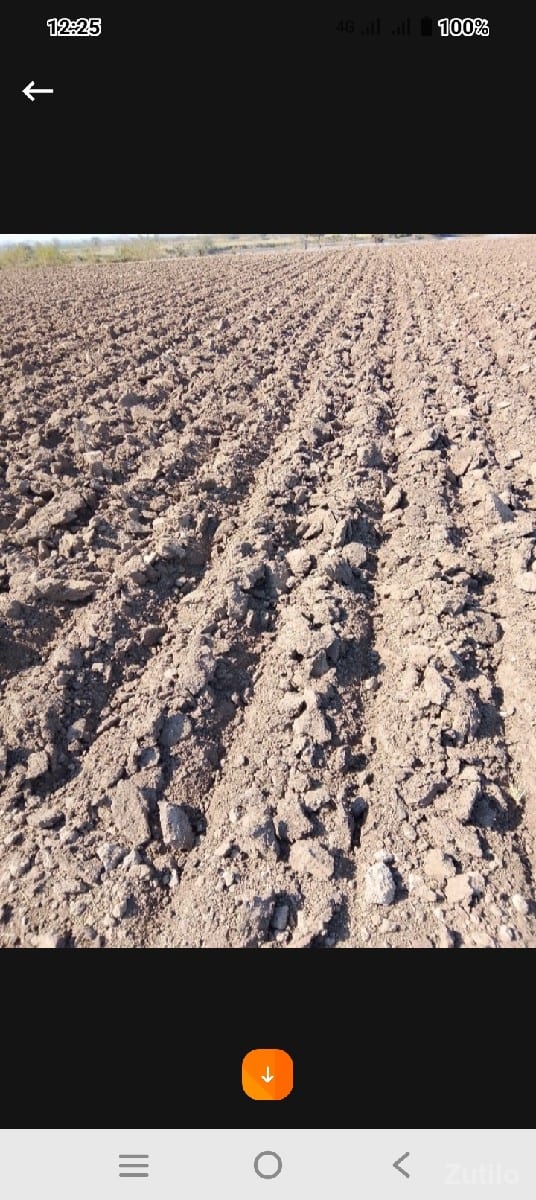 ખેડવા લાયક જમીન વેચવાની છે - Land & Plots - Lalpur - Image 2
