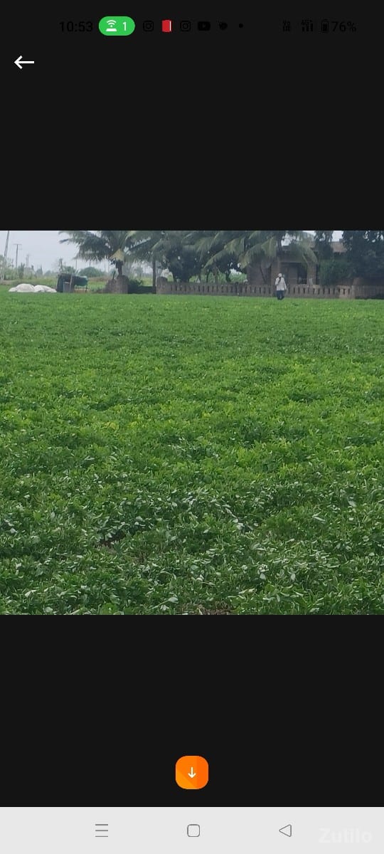 jamin - જમીન અને પ્લોટ - દ્વારકા - Image 2