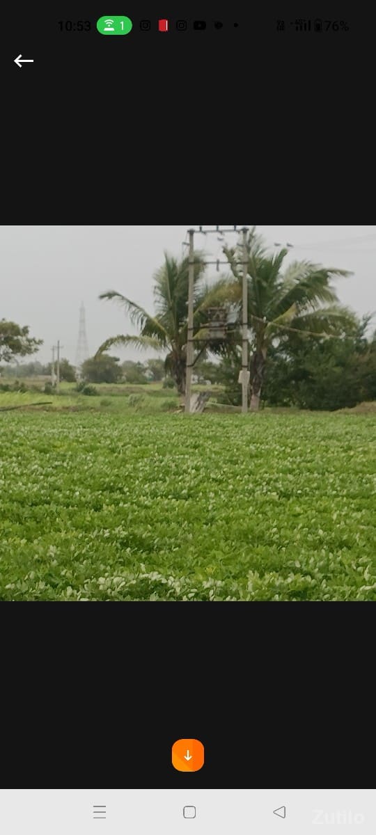 jamin - જમીન અને પ્લોટ - દ્વારકા - Image 3
