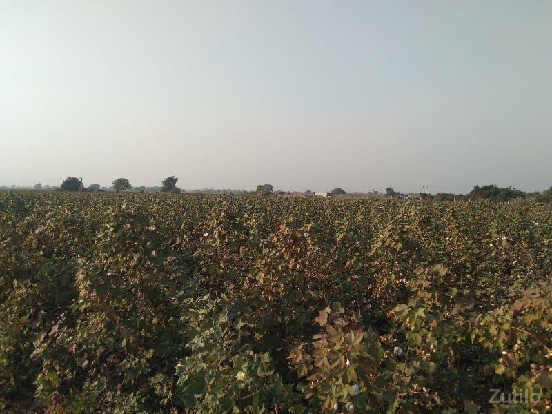 જમીન વેચવાની છે - જમીન અને પ્લોટ - રાજકોટ શહેર - Image 2