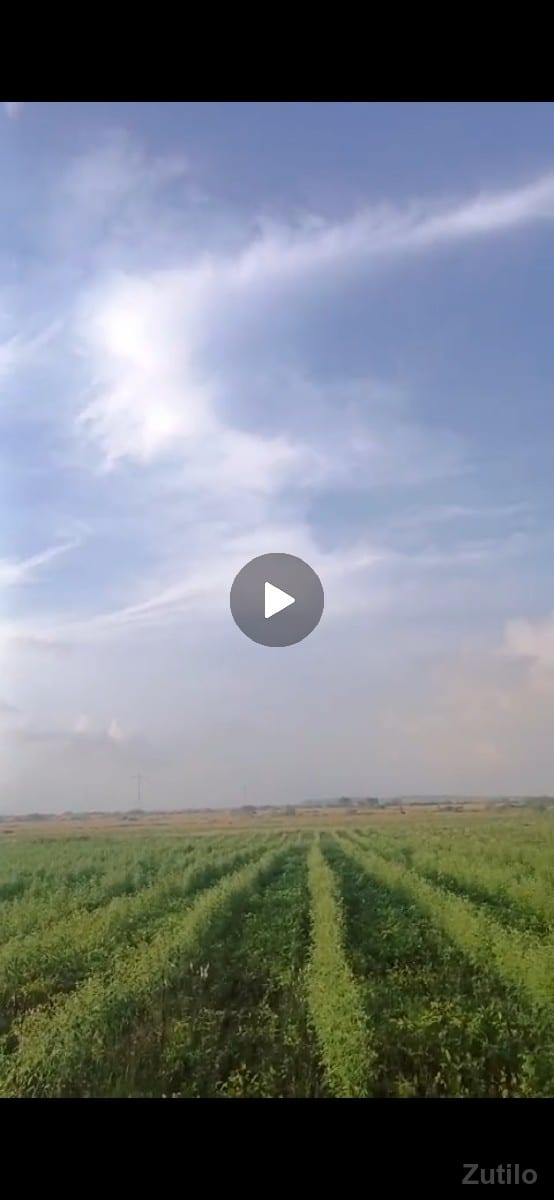વેચાણ - Land & Plots - Vadodara City - Image 2