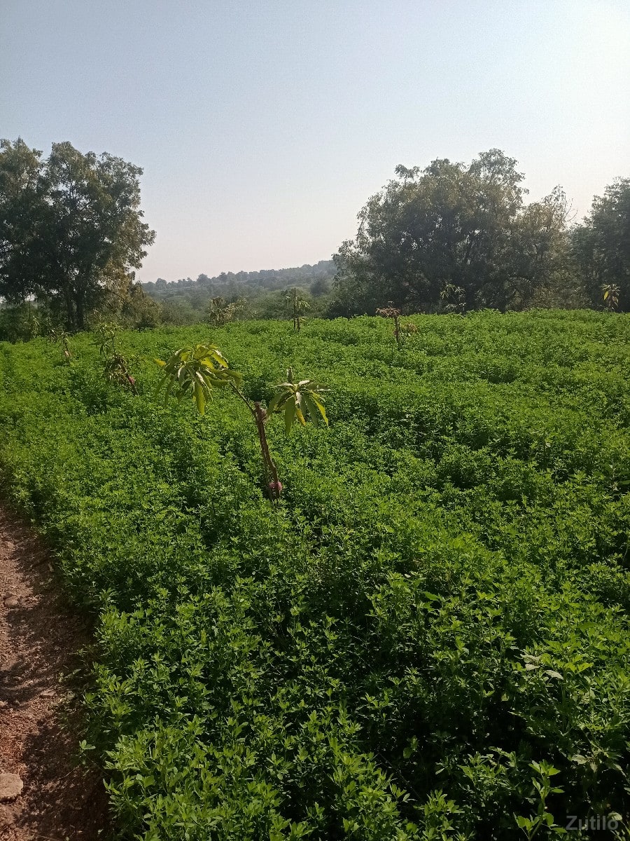 જમીન પર માટે કોન્ટેક્ટ કરો