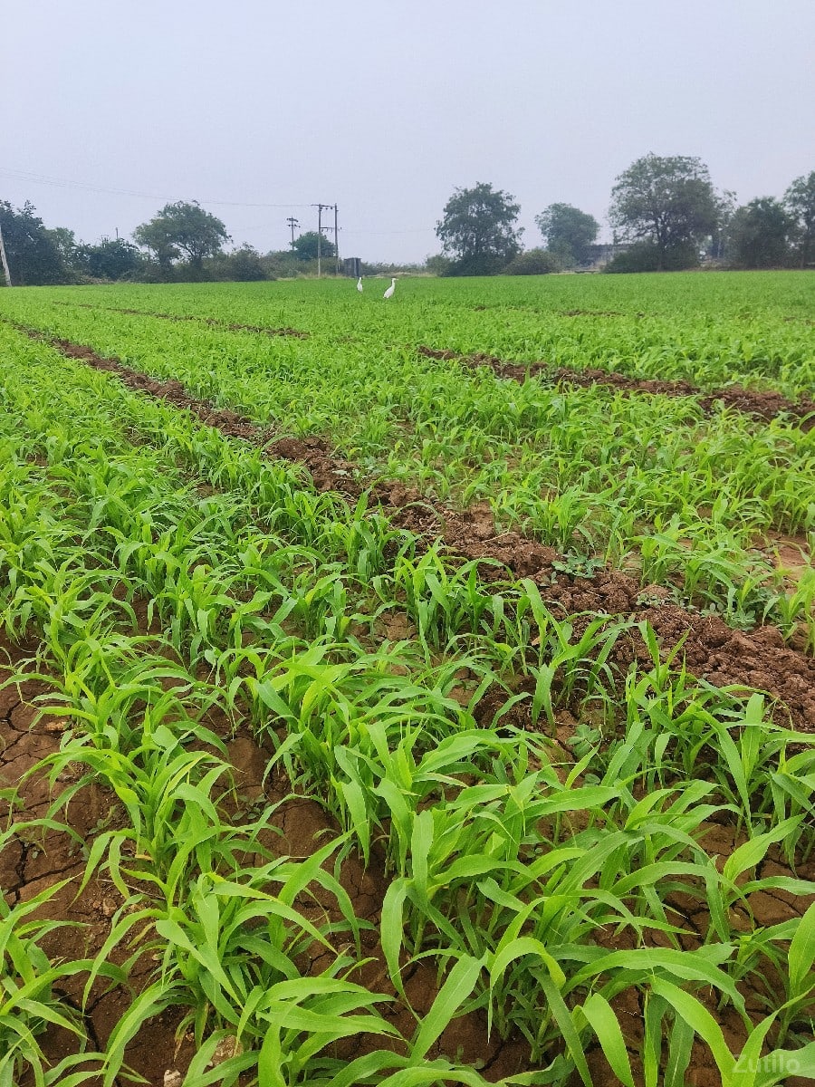 જમિન વેચવાની છે જમિન વેચવાની છે