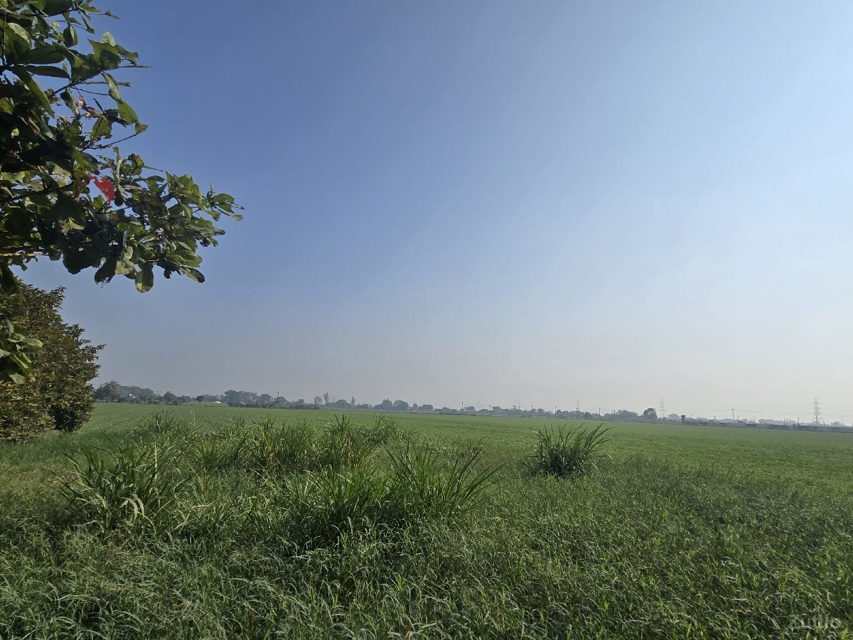 વેચવાનિ - Land & Plots - Kalavad - Image 2