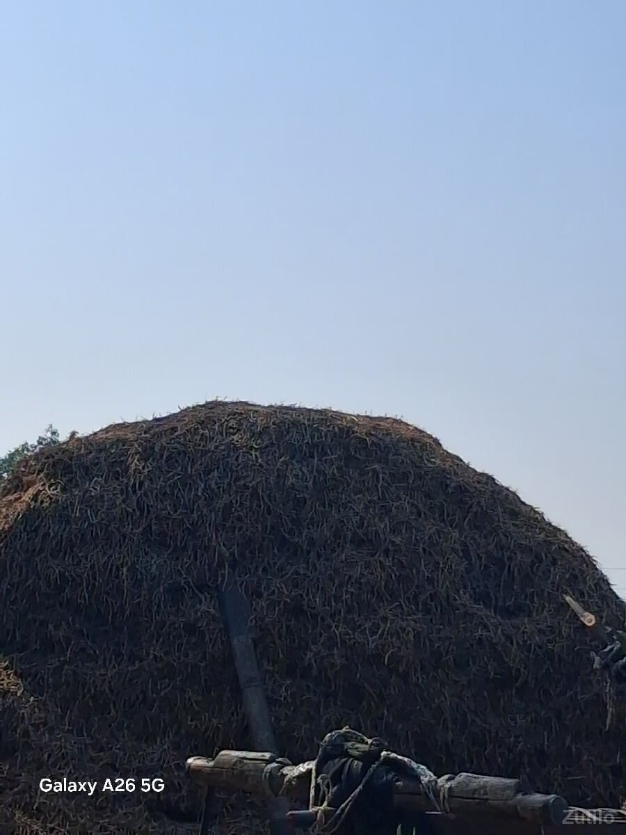 માડવી નો સારો