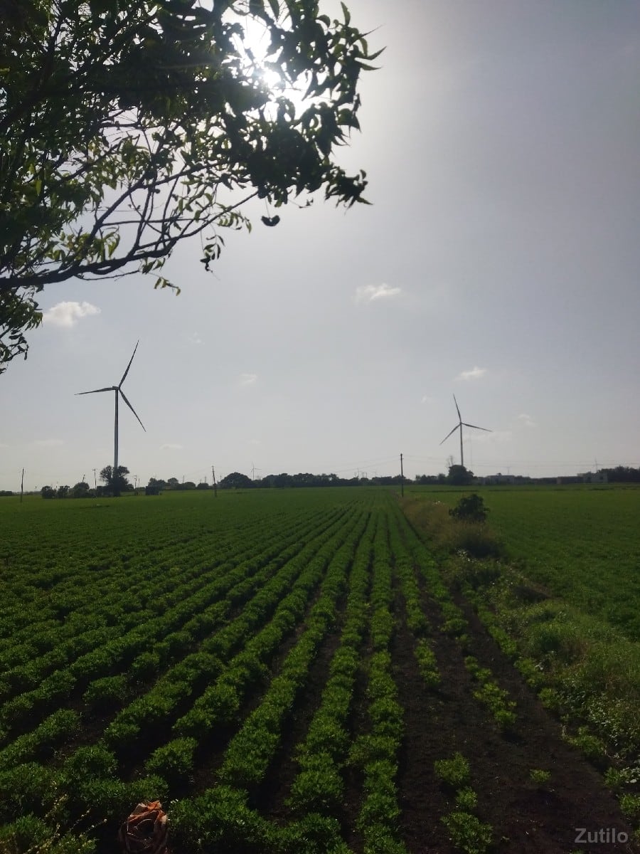 જમીન વેચવાની છે