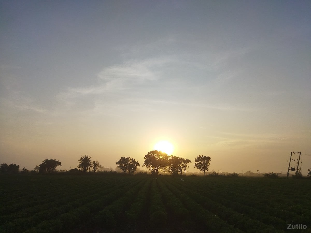 જમીન વેચવાની છે - Land & Plots - Kalyanpur - Image 2