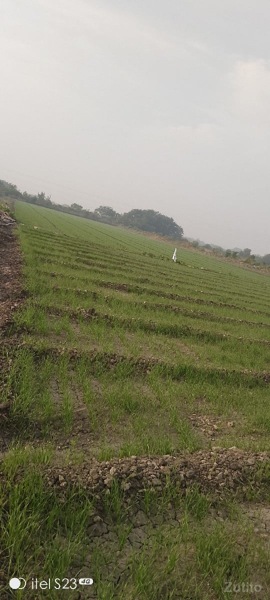 વેચવાનીછે - Land & Plots - Ranavav - Image 2