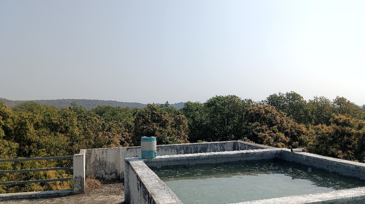 ફાર્મ હાઉસ આંબા નો બગીચો - Land & Plots - Talala - Image 2