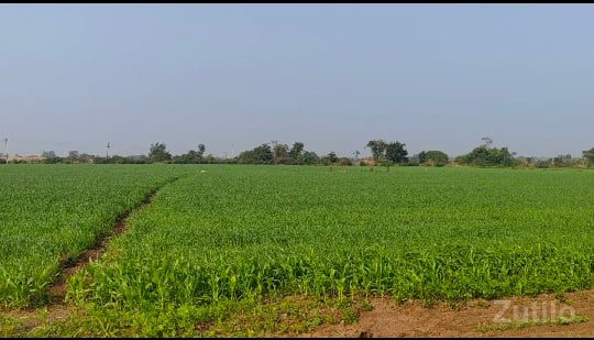 ખેતીની જમીન વેચવાની છે ખેતીની જમીન વેચવાની છે
