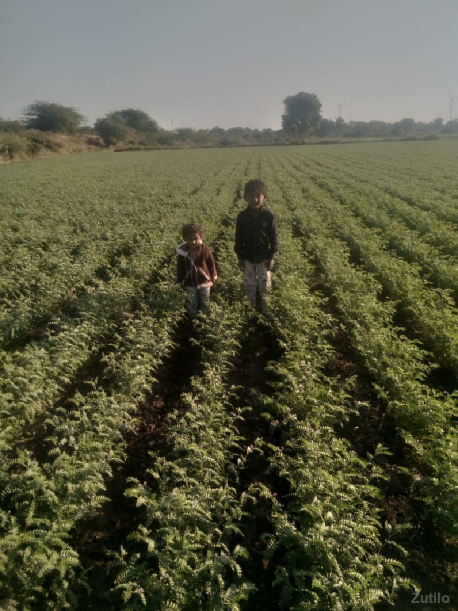 જામીન