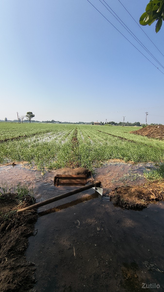 જમીન વેચવાની છે - Land & Plots - Jasdan Road Area - Image 2