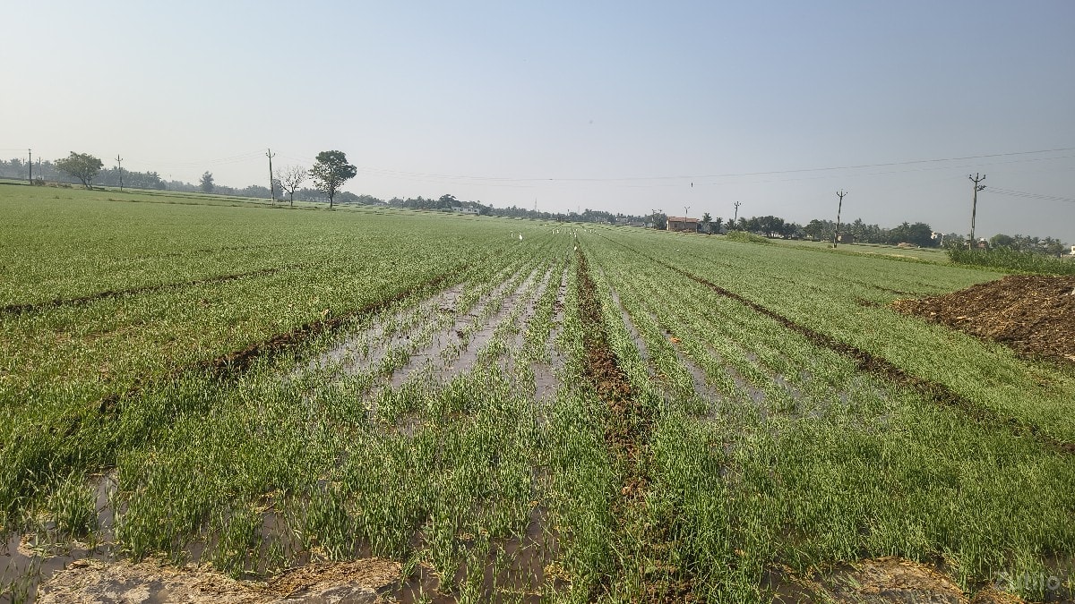 જમીન વેચવાની છે - Land & Plots - Jasdan Road Area - Image 3