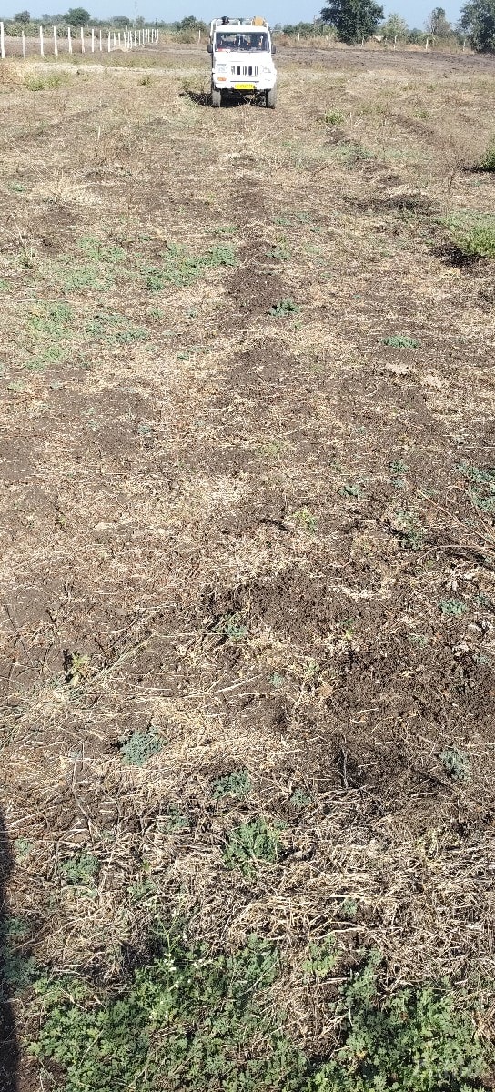 વેસવાની છે - Land & Plots - Mendarda - Image 2