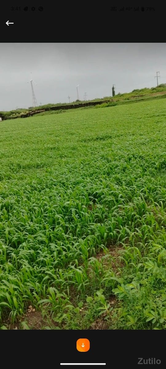 jamin vech vani. he - Land & Plots - Ravapar - Image 2