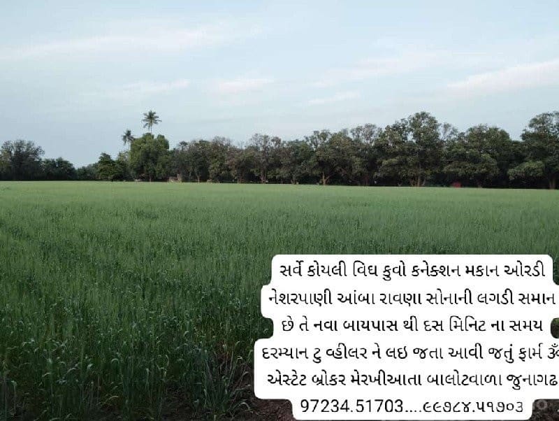 ઝાંઝરડા ચોકડી થી દસ કિમી ને ખુણે