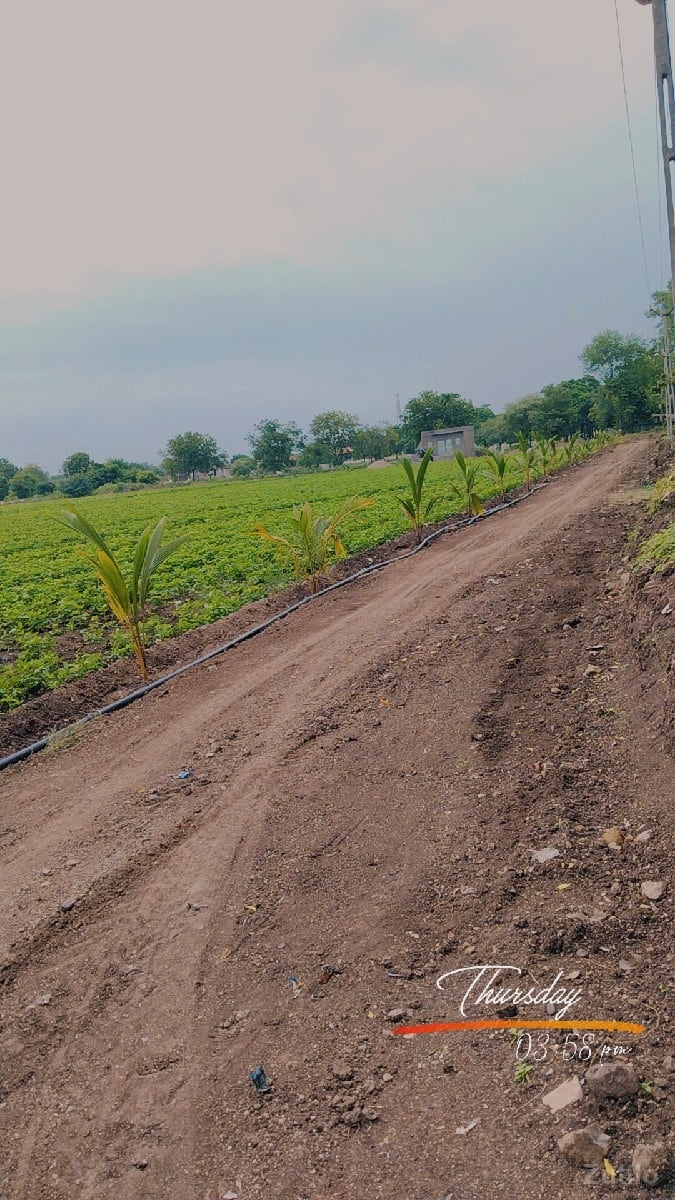 Dumiyani highway tach jamin - Land & Plots - Valod - Image 2