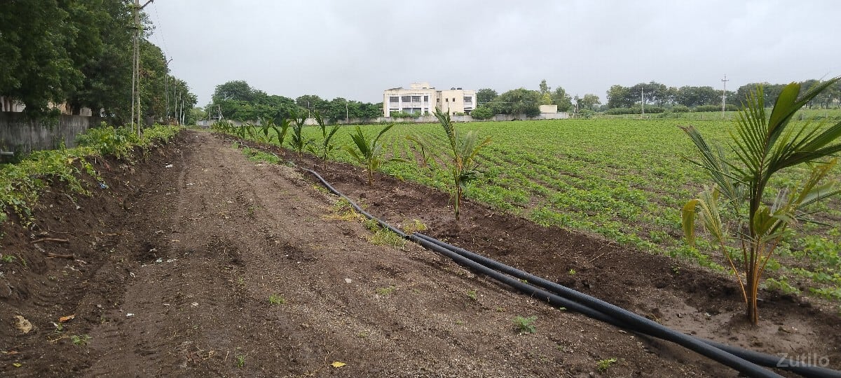 Dumiyani highway tach jamin - Land & Plots - Valod - Image 3