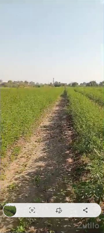 જમીન વેચવાની છે જમીન વેચવાની છે