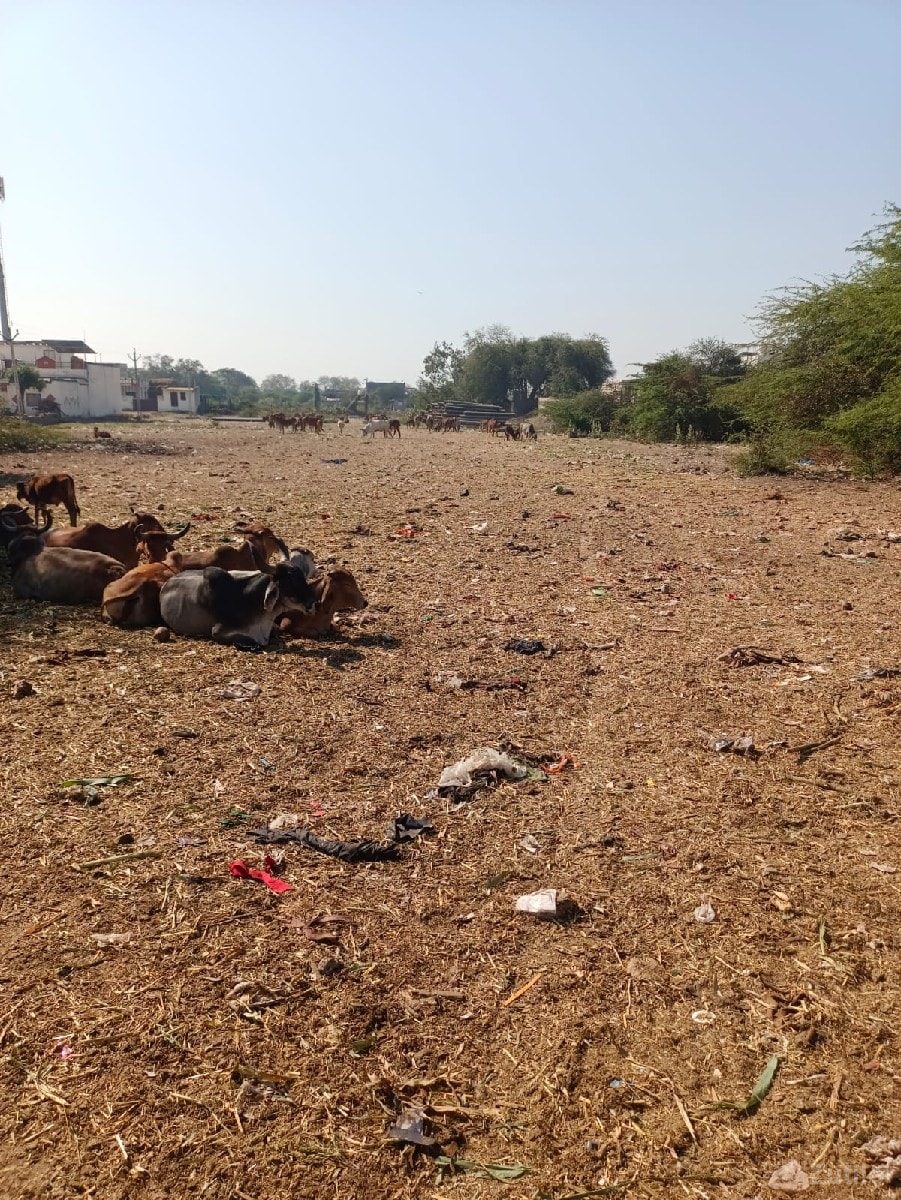 જમીન વેચાણ માટે જમીન વેચાણ માટે