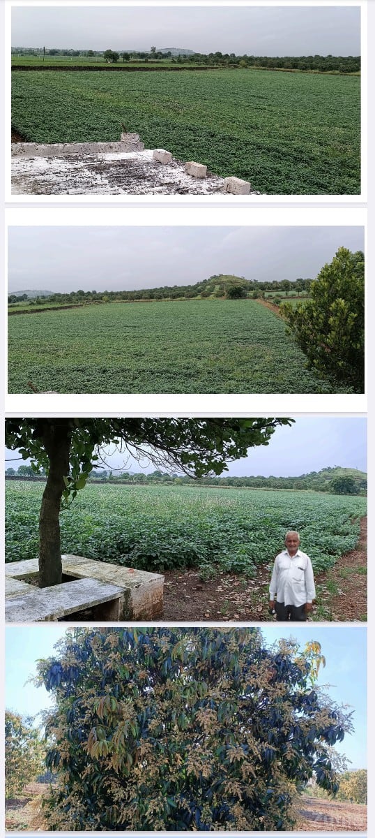 ખેતી ની જમીન વેચવાની છે - Land & Plots - Una - Image 3