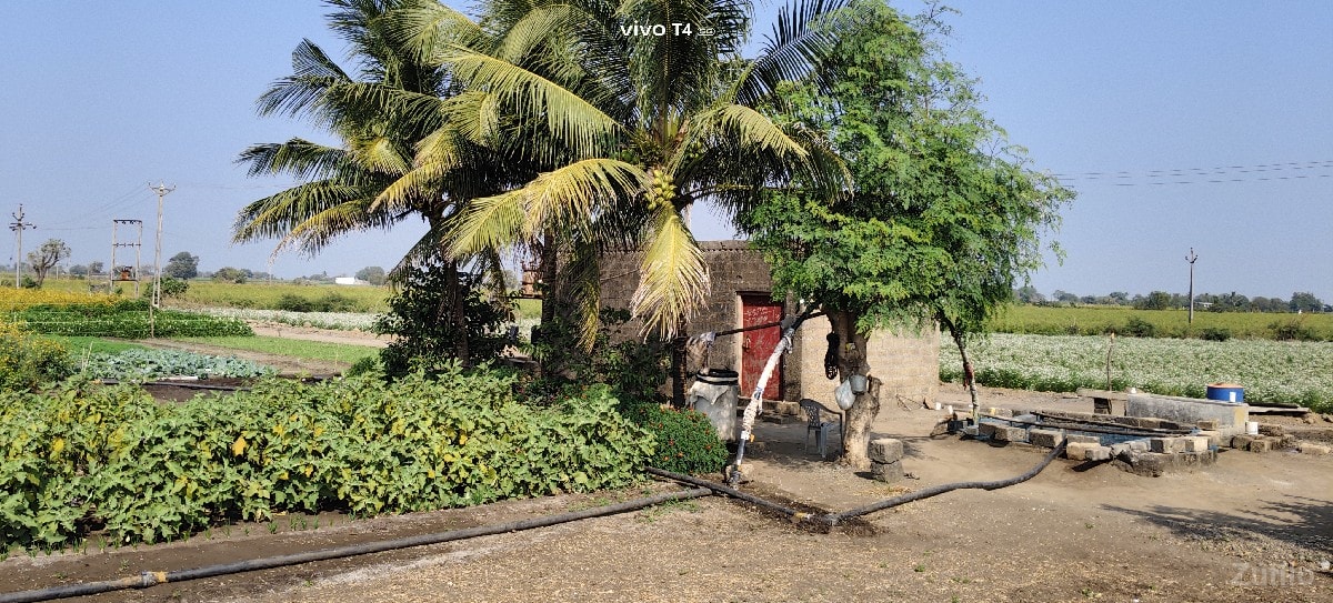 જમીન વેચવાની છે. - Land & Plots - Keshod - Image 3