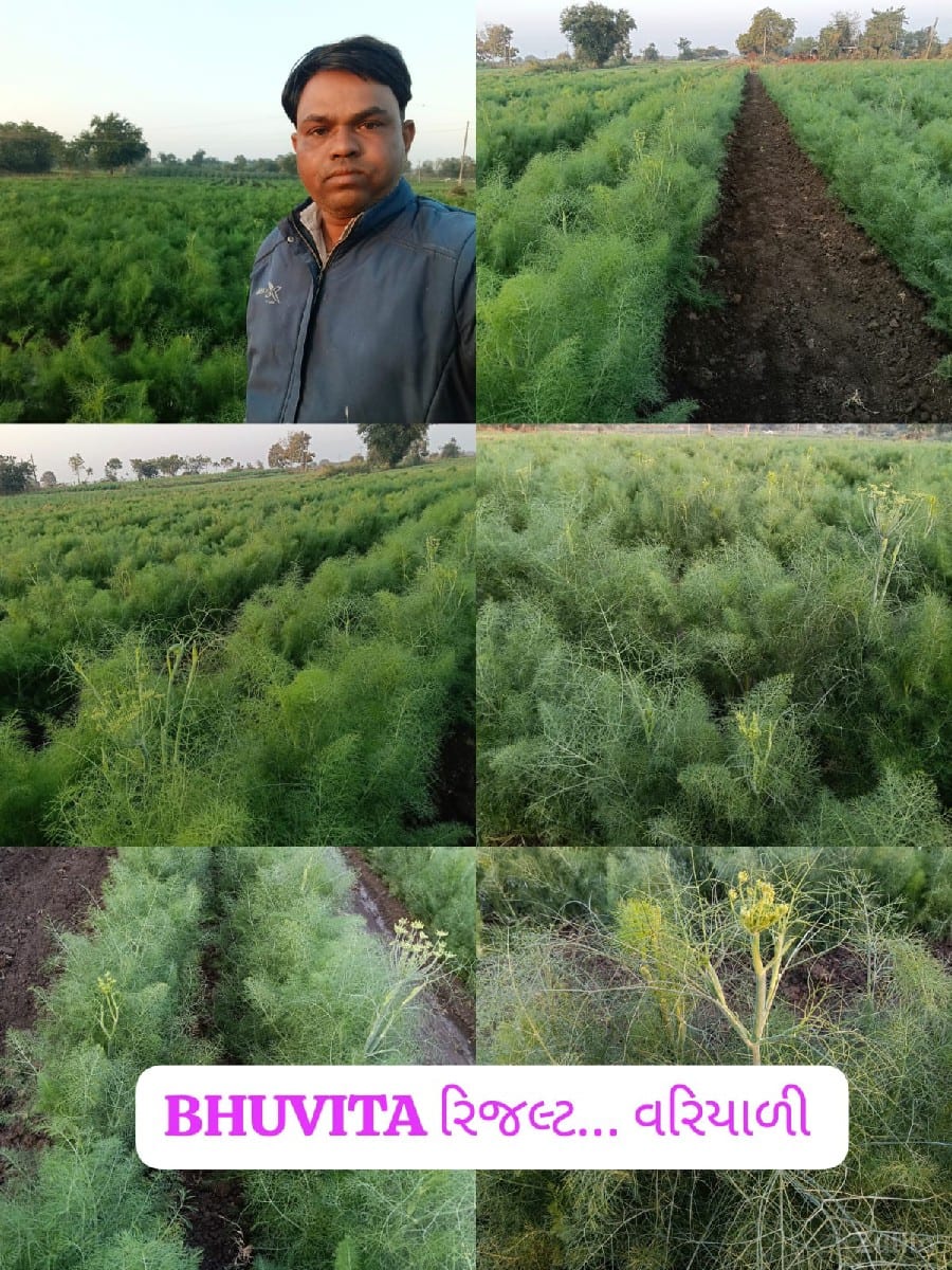 જમીન જમીન