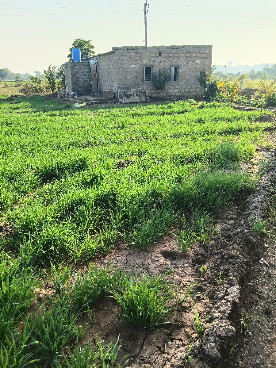 જમીન વેચવાની છે.ખીમપાદર. - Land & Plots - Mendarda - Image 3