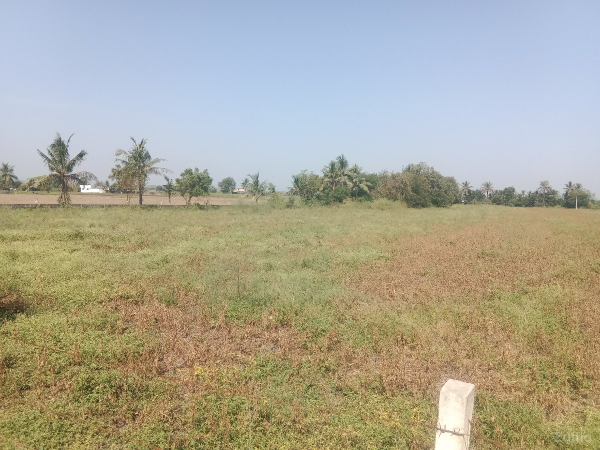 ખેતીની જમીન વેચવાની છે - Land & Plots - Ranavav - Image 2