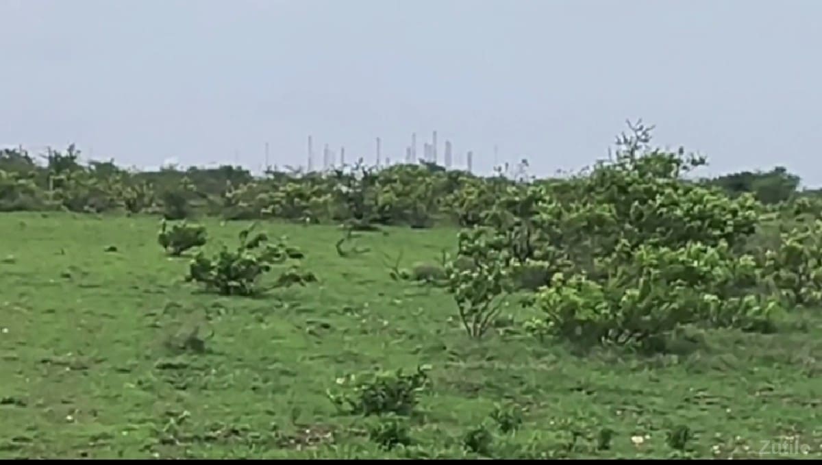 જમીન વેચવાની છે