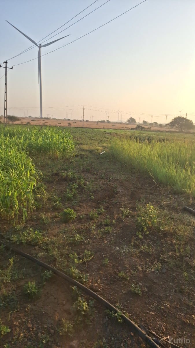 ખેતી લાયક જમીન છે બે મોશમનુ પાણી - Land & Plots - Lalpur - Image 3