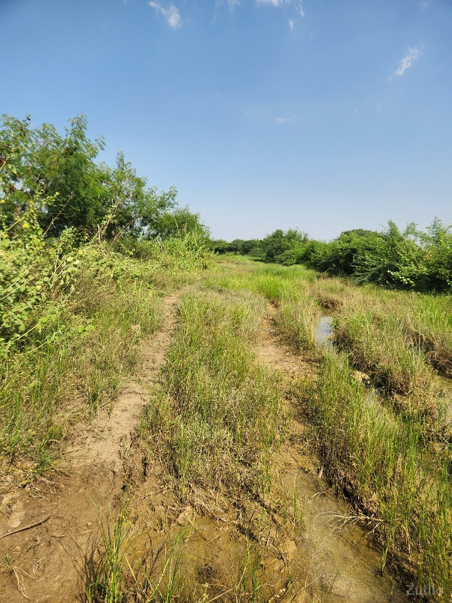 Jamin Vechavani ce - જમીન અને પ્લોટ - દ્વારકા - Image 2
