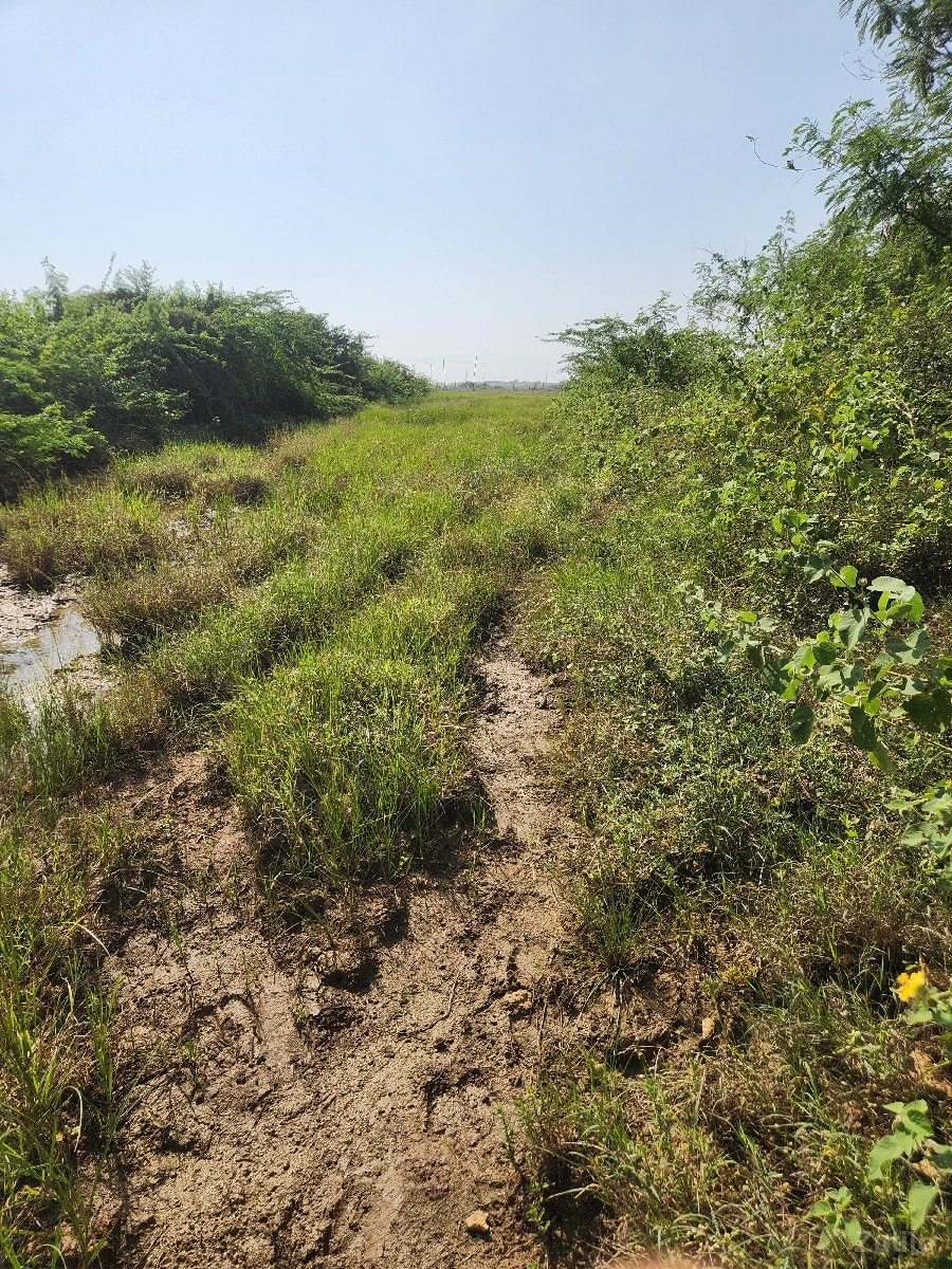 Jamin Vechavani ce - જમીન અને પ્લોટ - દ્વારકા - Image 3