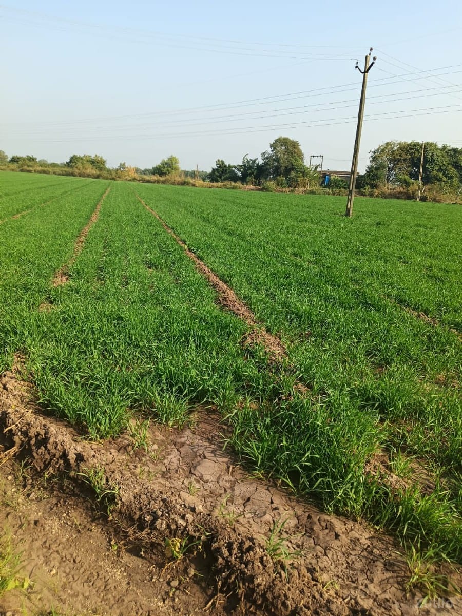 ખેતી ની જમીન વેસવા ની છે - Land & Plots - Mendarda - Image 3