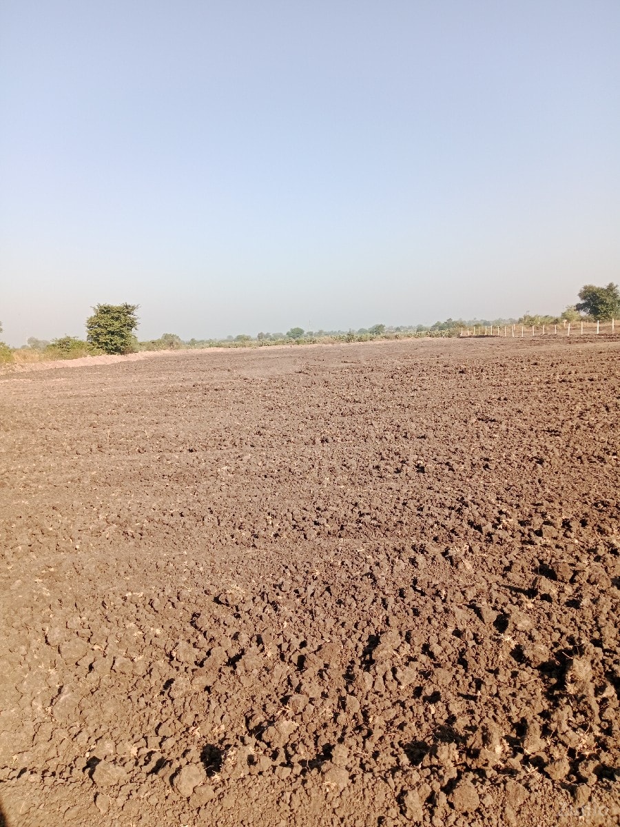 7.5 vigha - જમીન અને પ્લોટ - ઊના - Image 2