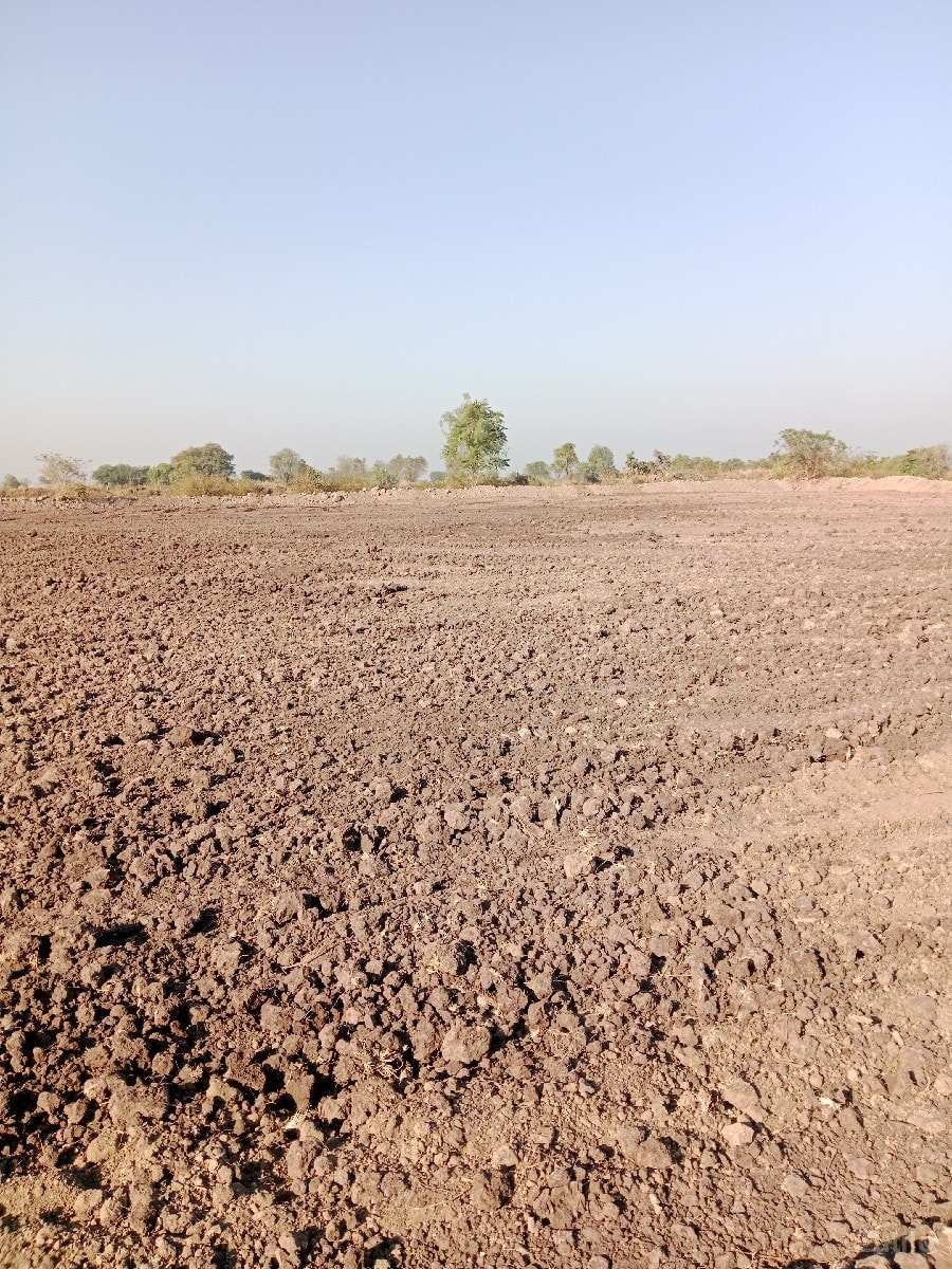 7.5 vigha - જમીન અને પ્લોટ - ઊના - Image 3