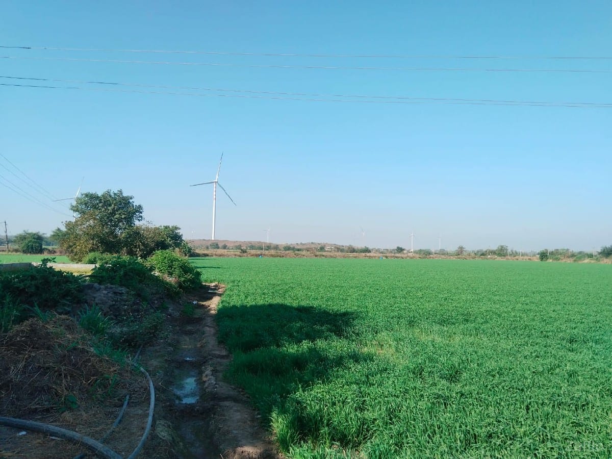 જમીન વેચવાની છે - Land & Plots - Jamjodhpur - Image 2