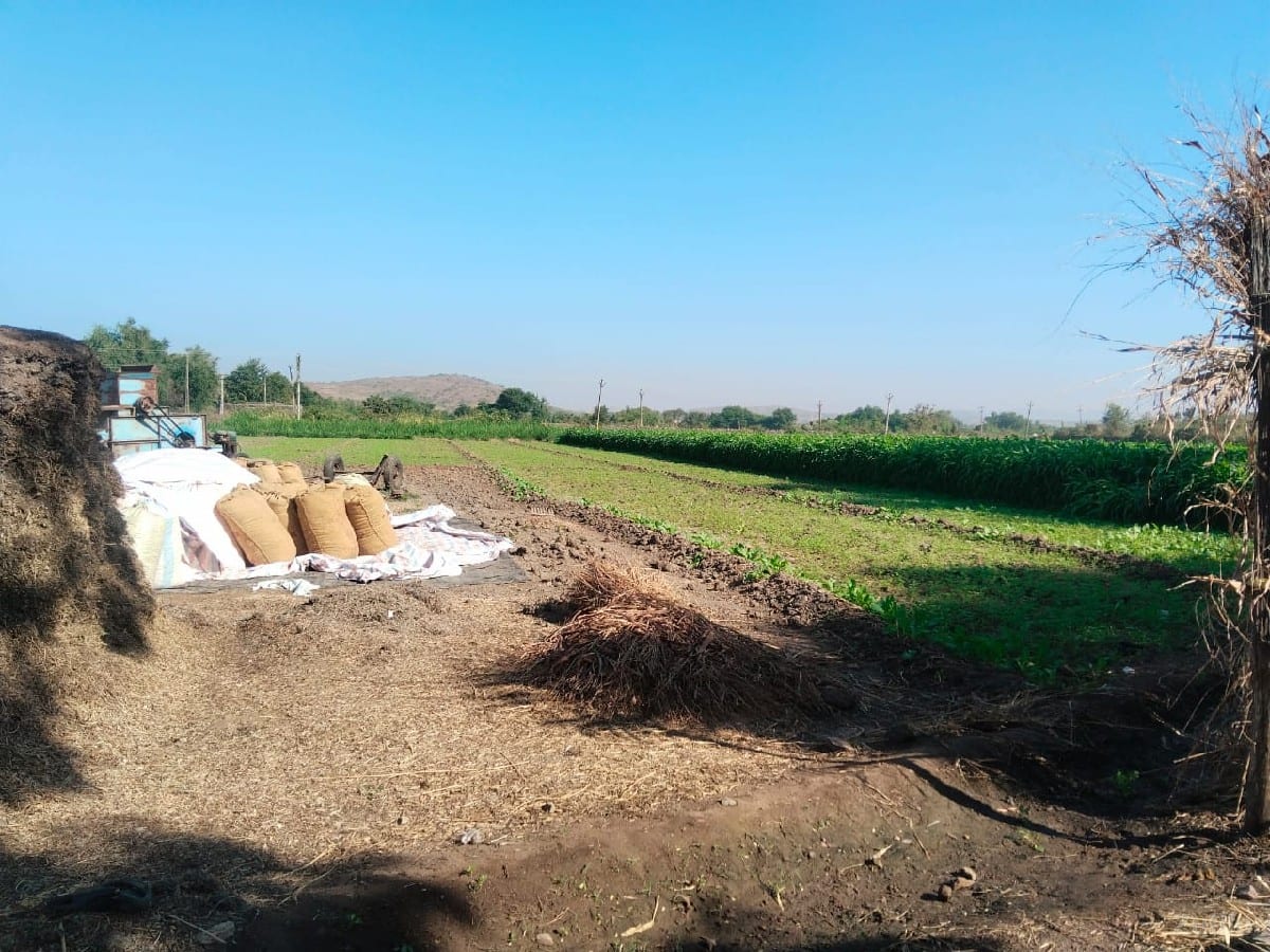 જમીન વેચવાની છે - Land & Plots - Jamjodhpur - Image 3